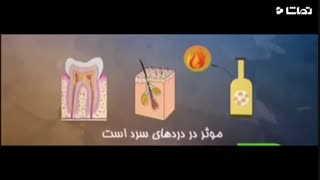 مهم ترین خواص حبوبات