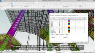 آموزش  گزینه view filters در بخش view رویت 2021