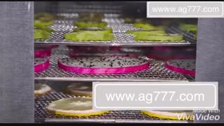 خشک کن میوه و سبزی