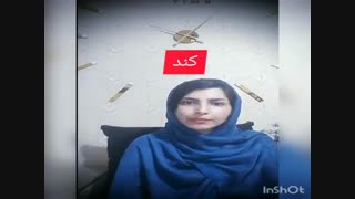 فرصت های زندگی