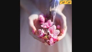 بیاید داخل..