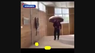 طنز از این چتر ها برداشته کرونا نگیره