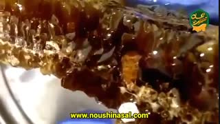 خرید عسل طبیعی در مشهد