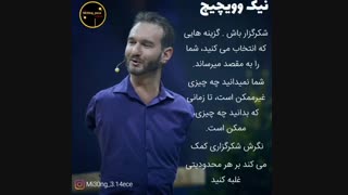 صحبت های نیک وویچیچ