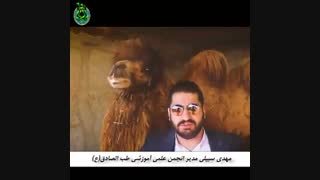 خوردن ادرار شتر توسط استاد مهدی سبیلی طب اسلامی