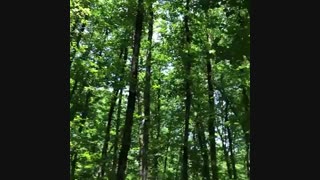 Must see: Mazandaran