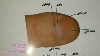 چقدر از سلامتی بدنتان از طریق ناخناتون میدونید