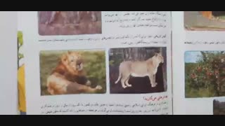 جنگل برای کیست؟ #علوم_ششم #علوم_تجربی قسمت دوم (2)