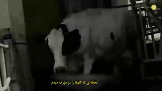 تیزر 18 تعقیبی