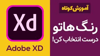 آموزش کاربردی Adobe XD: اهمیت انتخاب رنگ در طراحی رابط کاربری وبسایت و اپلیکیشن