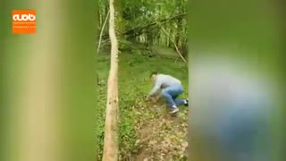 ویدئوی شگفت انگیزی که با خلاقیت جمعی ساخته شده