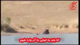 دکتر رادا 29 - راز موفقیت در راز بقا