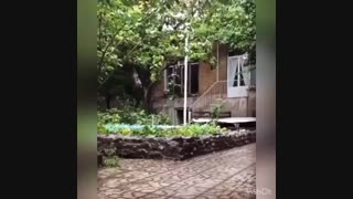 پادکست ارتعاشتو مثبت کن