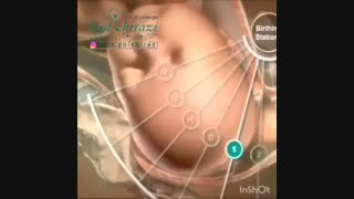 تغیرات بدن مادر در بارداری