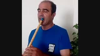 اجرای نی توسط استاد مجید نقی پور