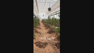 ساخت گلخانه پلی کربنات  | 09125753841