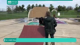 تربیت سگ دوبرمن - اجتماعی سازی