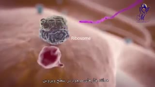 اگر کرونا بگیریم چه اتفاقی می افتد؟