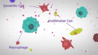 نمایندگی مرک آلمان در تبریز (فروش 09357007743)