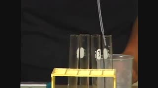 آنزیم آزمایشگاهی چیست و از کجا بخریم ؟ (09357007743 فروش)