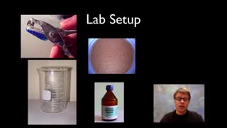 شرکت برتر فروش آنزیم آزمایشگاهی (09357007743 فروش)