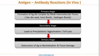 خرید آنلاین  آنتی‌ بادی از شرکت سفیر آزما کیان (09357007743)
