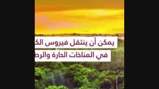 افکار خاطئه حول فیروس کورونا