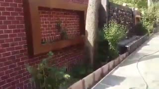 سنگ مالون سنگ لاشه جوینده بااجرای انوای کارهای طبیعی ۰۹۱۲۴۰۲۶۵۴۵