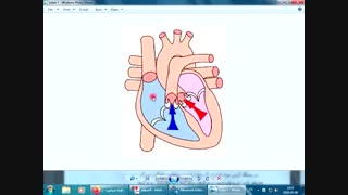 توضیح از روی کتاب علوم هفتم - فصل 14
