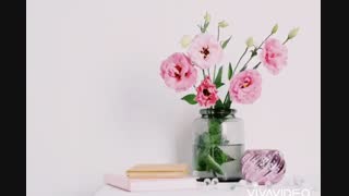 میشه بیایین اصل بدین همه ؟