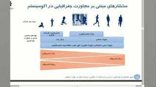 آشنایی با اکوسیستم کارآفرینی و استارت آپی کشور، دکتر مرضیه شاوردی برداشتن زگیل