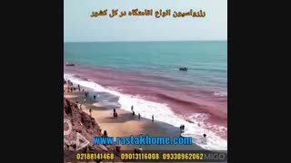 تماشای ساحل سرخ یا نقره ای درجزیره هرمز