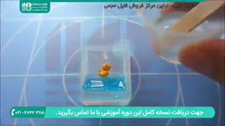 زیورآلات رزینی-آویز رزینی همراه با اردک