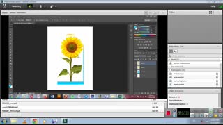 خانم ابراهیمی-هنر دهم تجربی-آموزش فتوشاپ قسمت سوم