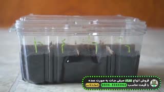 آموزش 0 تا 100 نشاء کاری به روش جدید