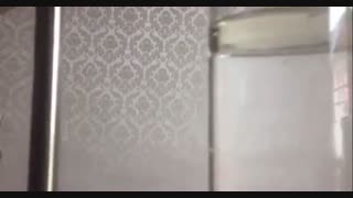 دستگاه اسانس گیری