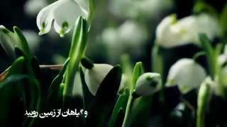 آرامش راستین - استاد رائفی پور