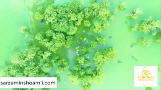 آستارا از نمایی دیگر-گروه مشاورین املاک سرزمین شمالی