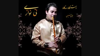 نی‌نوازی - موسیقی
