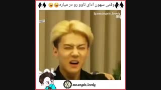 سهون ادای تاعو رو در میاره