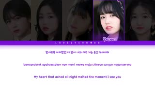 متن آهنگ Paeonia از BUSTERS