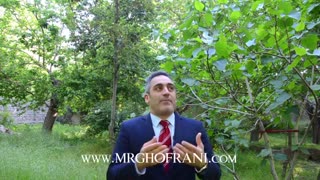 صد روز هفت صبح روز چهاردهم ( بگو بله )