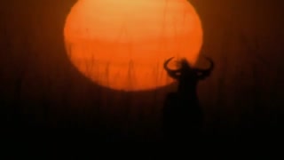 مستند برادران تنی: شیرهای سابی سند- دوبله فارسی