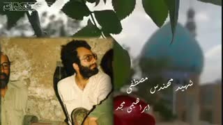 شهیدی که امام زمان (عج) را دید