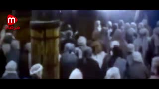 سفره دار کرم