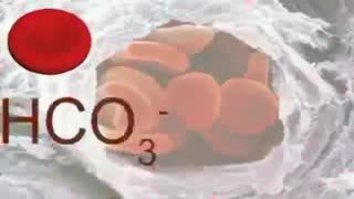 فیلم آموزشی فصل 15 کتاب علوم هفتم تبادل با محیط