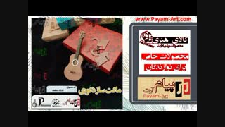 خرید ساز دکوری