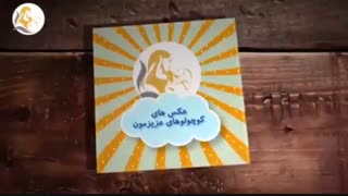 زایمان سزارین