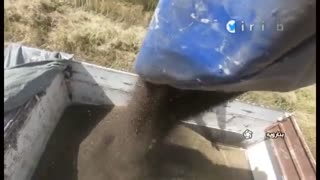 Colza oil- مستند هزار توی کلزا