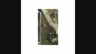 گزارش تصویری از مراحل مختلف تولید، بسته بندی و انبارش محصولات الیستر